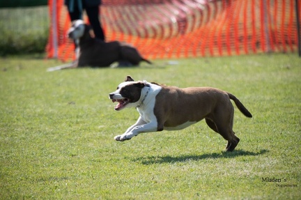 K-2.VHV Cuppruefung 03-06-2023 40