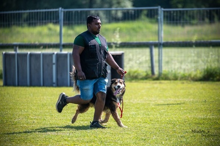 K-2.VHV Cuppruefung 03-06-2023 42