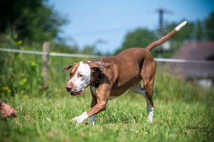 K-2.VHV Cuppruefung 03-06-2023 52