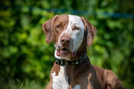 K-2.VHV Cuppruefung 03-06-2023 55