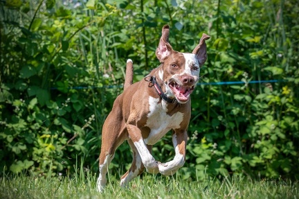 K-2.VHV Cuppruefung 03-06-2023 57