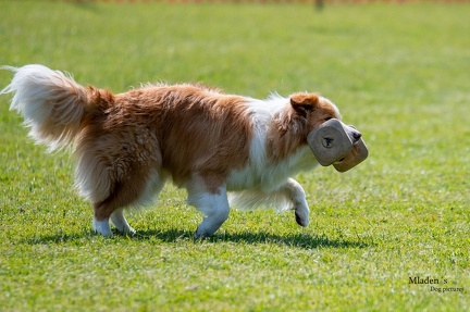 K-2.VHV Cuppruefung 03-06-2023 62