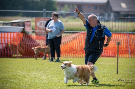 K-2.VHV Cuppruefung 03-06-2023 63