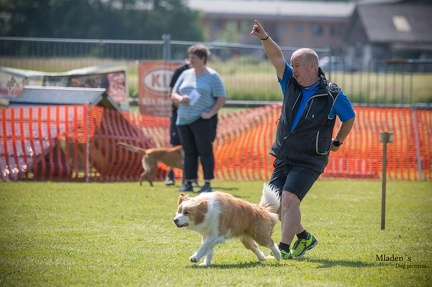 K-2.VHV Cuppruefung 03-06-2023 64