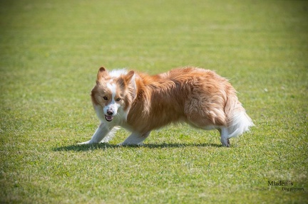 K-2.VHV Cuppruefung 03-06-2023 65