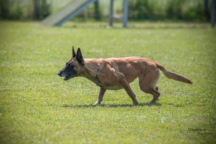 K-2.VHV Cuppruefung 03-06-2023 68