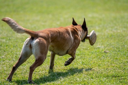 K-2.VHV Cuppruefung 03-06-2023 69