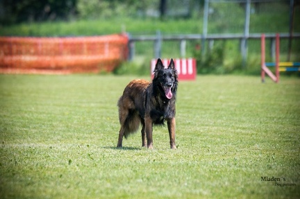 K-2.VHV Cuppruefung 03-06-2023 72