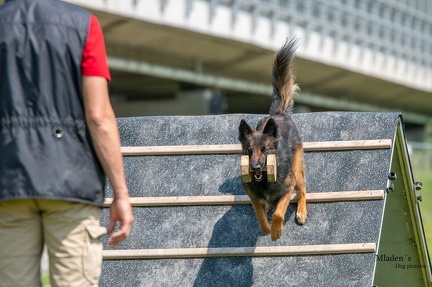 K-2.VHV Cuppruefung 03-06-2023 75