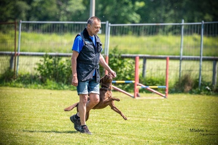 K-2.VHV Cuppruefung 03-06-2023 80