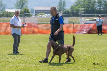 K-2.VHV Cuppruefung 03-06-2023 81