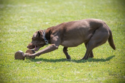 K-2.VHV Cuppruefung 03-06-2023 82