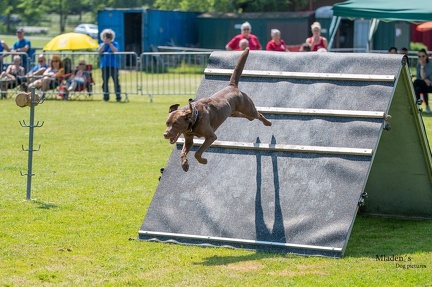 K-2.VHV Cuppruefung 03-06-2023 85