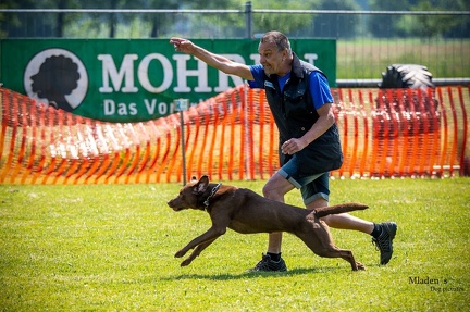 K-2.VHV Cuppruefung 03-06-2023 87