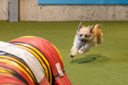 K-Base AT 13-08-2023 38