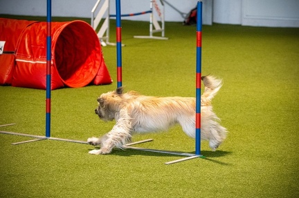 K-Base AT 13-08-2023 39