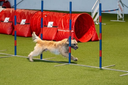 K-Base AT 13-08-2023 42