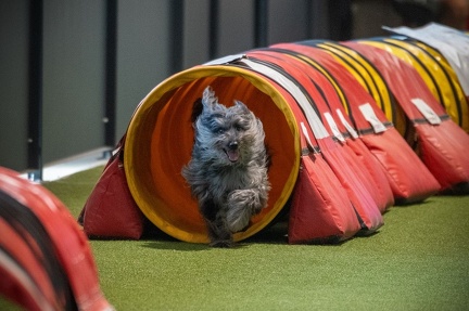 K-Base AT 13-08-2023 51