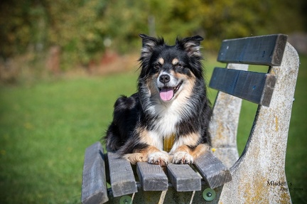 K-2023-10-06 Soboth Stausee 58