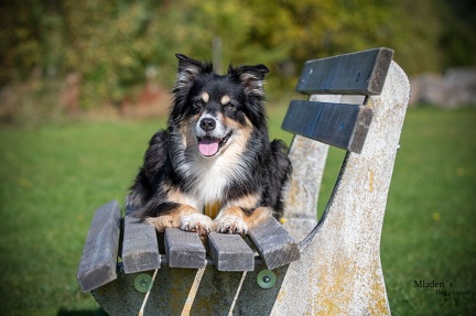 K-2023-10-06 Soboth Stausee 61