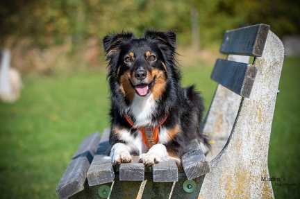 K-2023-10-06 Soboth Stausee 63