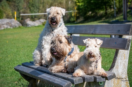 K-2023-10-06 Soboth Stausee 66