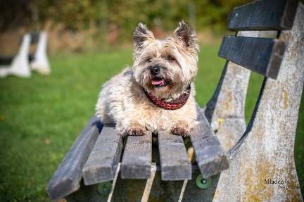 K-2023-10-06 Soboth Stausee 70