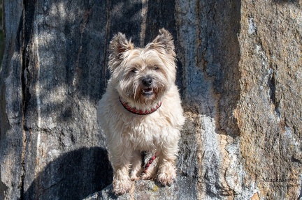 K-2023-10-06 Soboth Stausee 75