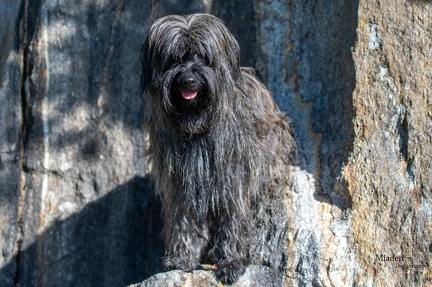 K-2023-10-06 Soboth Stausee 77