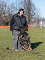 k-2024-02-03 Training 215