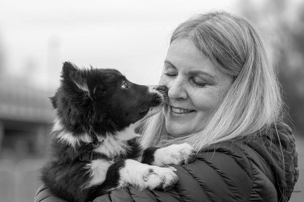 k-HVD Training 2024-03-02-86