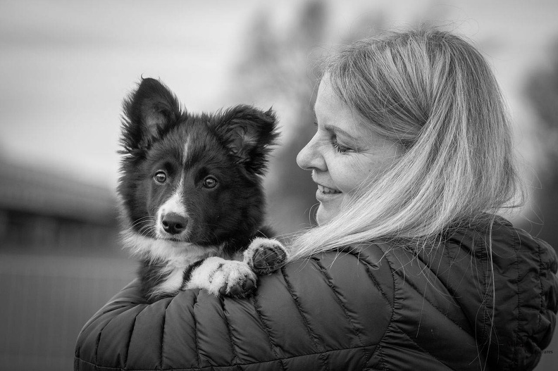 k-HVD Training_2024-03-02-91.jpg