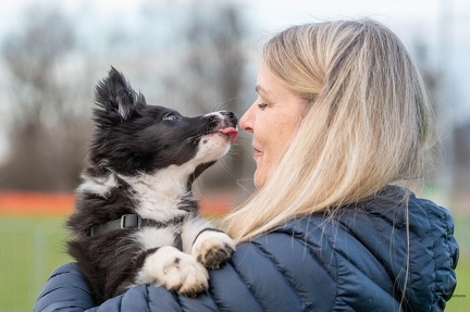 k-HVD Training 2024-03-02-95