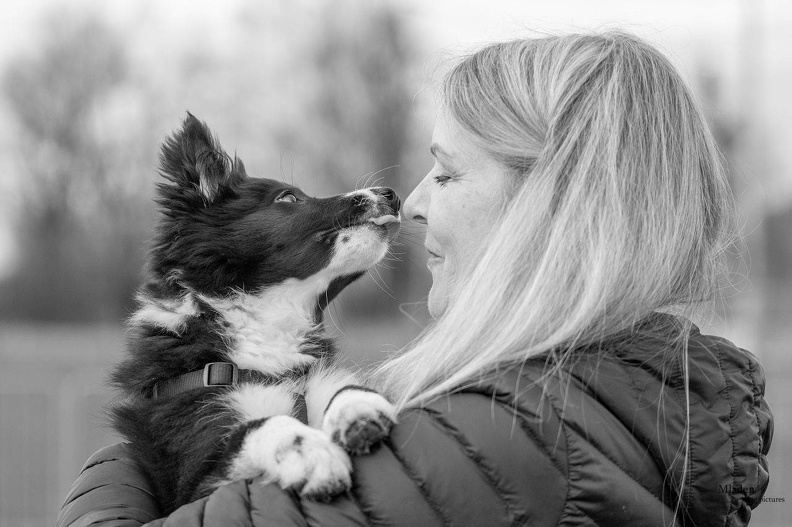 k-HVD Training_2024-03-02-96.jpg