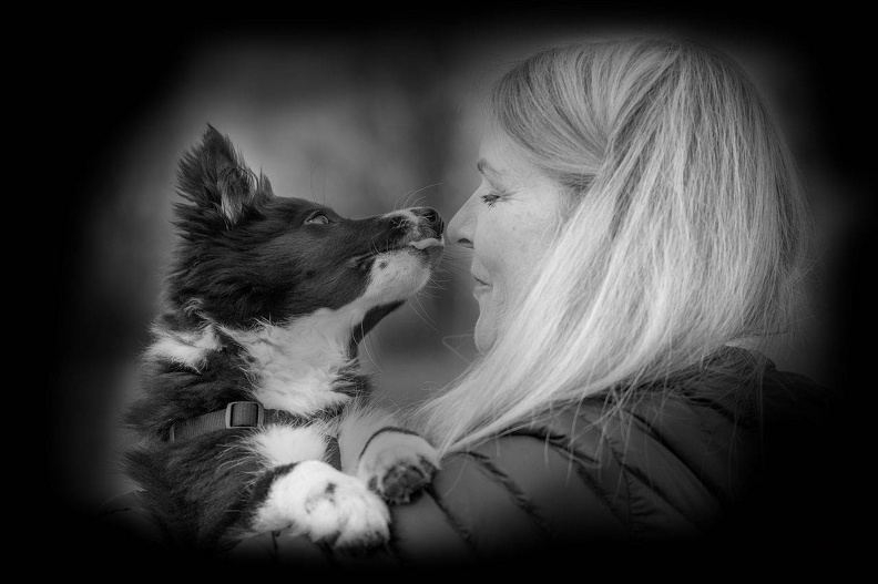 k-HVD Training_2024-03-02-97.jpg