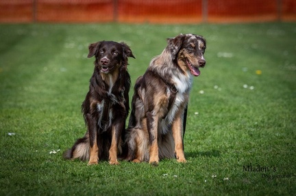 k-HVD Kurs 2024-04-06 33