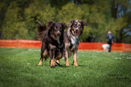 k-HVD Kurs 2024-04-06 35