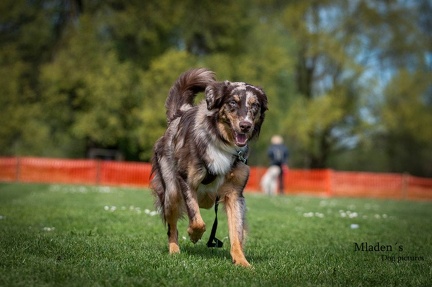 k-HVD Kurs 2024-04-06 37