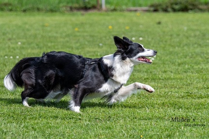 k-HVD Kurs 2024-04-06 49