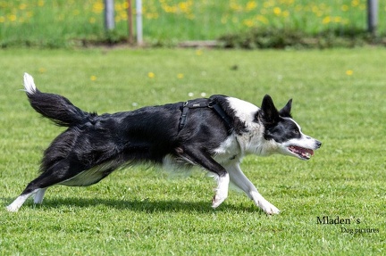 k-HVD Kurs 2024-04-06 50