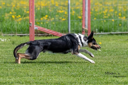 k-HVD Kurs 2024-04-06 51