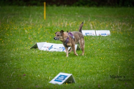 k-RO-Seminar Patsch 31-05-2024 02