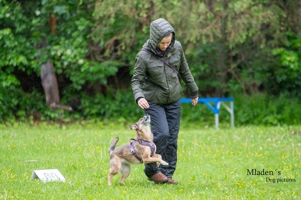 k-RO-Seminar Patsch 31-05-2024 03