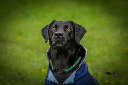 k-RO-Seminar Patsch 31-05-2024 04