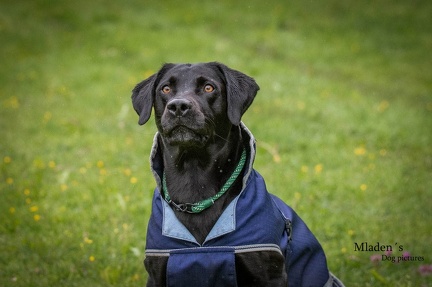 k-RO-Seminar Patsch 31-05-2024 05