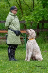 k-RO-Seminar Patsch 31-05-2024 09