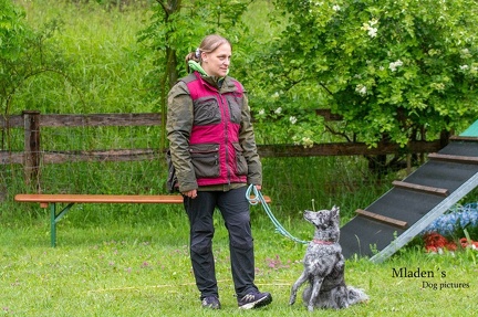 k-RO-Seminar Patsch 31-05-2024 11