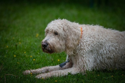 k-RO-Seminar Patsch 31-05-2024 12