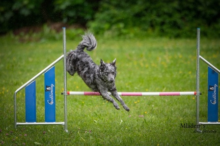 k-RO-Seminar Patsch 31-05-2024 14