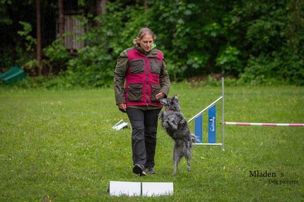 k-RO-Seminar Patsch 31-05-2024 15